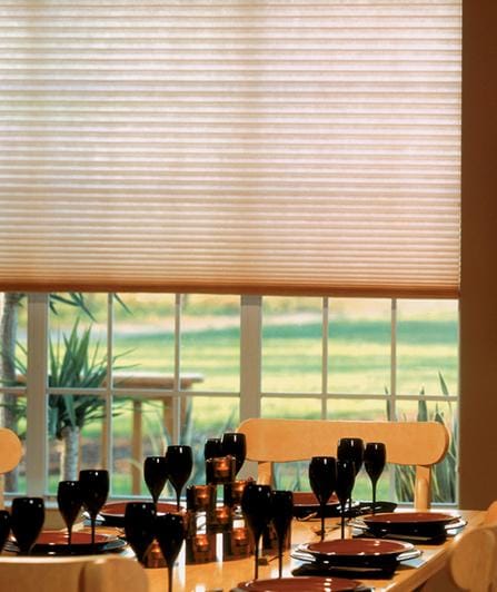 Celular Semitraslucida